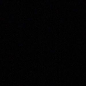 Meet your Posher, Rayne